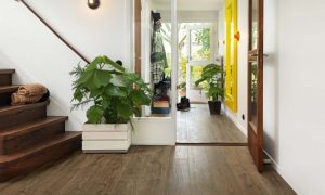 Alternative view of Sàn Gỗ Pergo 03371